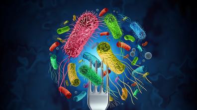 Bacteria food outbreak and bacterial infection as a microscopic background as dangerous salmonella and e-coli disease strain case as a medical health risk concept with pathogen