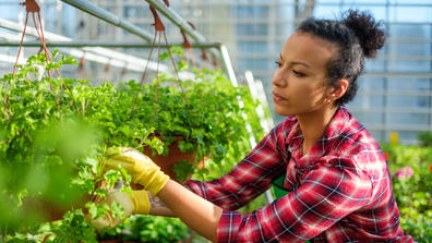 an african american woman cultivates plants in a botanical garden