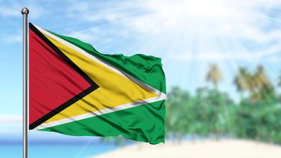 guyana flag flying in front of palm trees