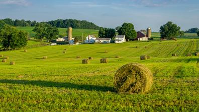 Round hay bales on slightly rolling hills in amish country. Farm and farm house in background.