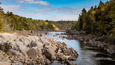 Beautiful fall scenery at a state park in the fall autumn season