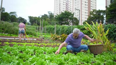 older man working in urban farm