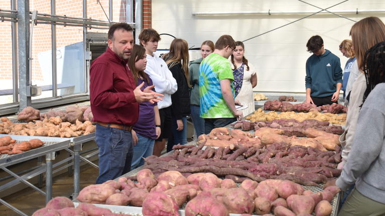 a Central State University professor researching sweet potatoes with a group of young people