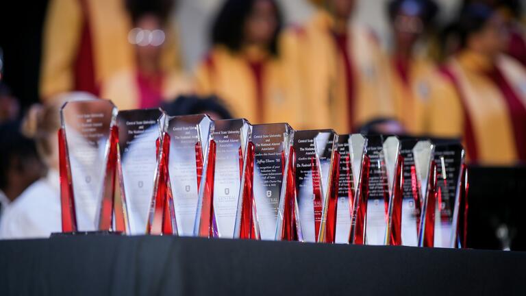 awards lined up on a table with a black tablecloth