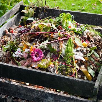 colorful vegetable compost in a box