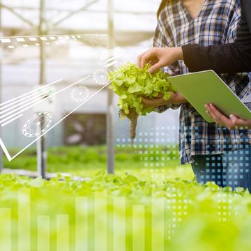 Hydroponic farm with technology, researcher, agricultural expert introduce owner farmer checking good balance of water and oxygen as temperature, lights, pH level, humidity, system of growing plant