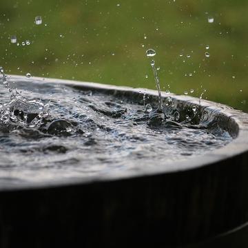 rain water in a full barrel