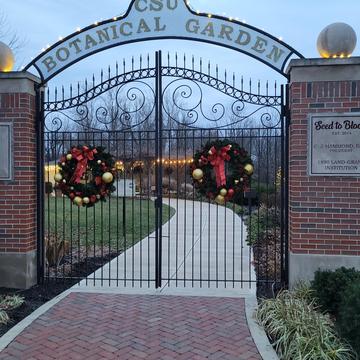 Winter Illumination Gate