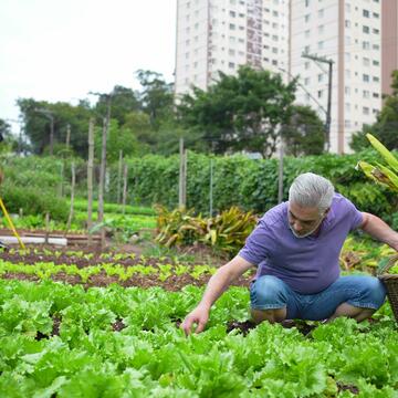 older man working in urban farm