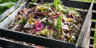 colorful vegetable compost in a box