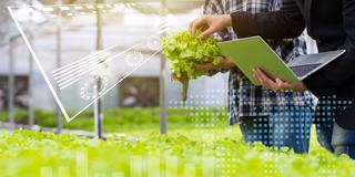 Hydroponic farm with technology, researcher, agricultural expert introduce owner farmer checking good balance of water and oxygen as temperature, lights, pH level, humidity, system of growing plant