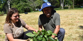 researchers on silflowers in a field