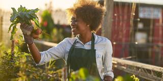 African American urban farmer