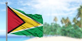 guyana flag flying in front of palm trees