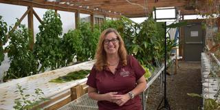 alcinda cindy folck in a greenhouse