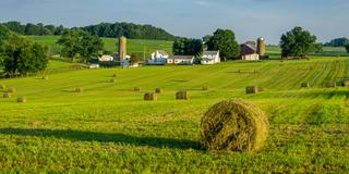 Round hay bales on slightly rolling hills in amish country. Farm and farm house in background.