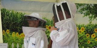 central state university researchers wear protective bee suits at farm science review