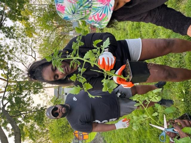 a participant in the toledo fast track farming program with central state university extension