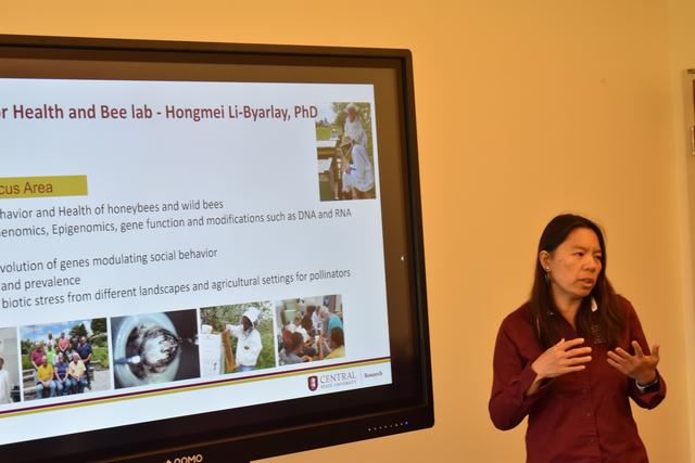hongmei li-byarlay presents research on a digital projector