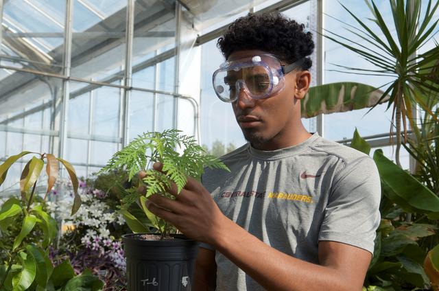 a young man wearing protective glasses looking at a plant in a greenhouse