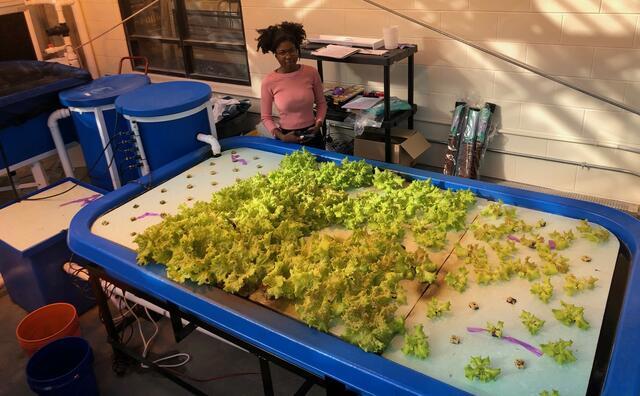 aquaponics display with central state university student